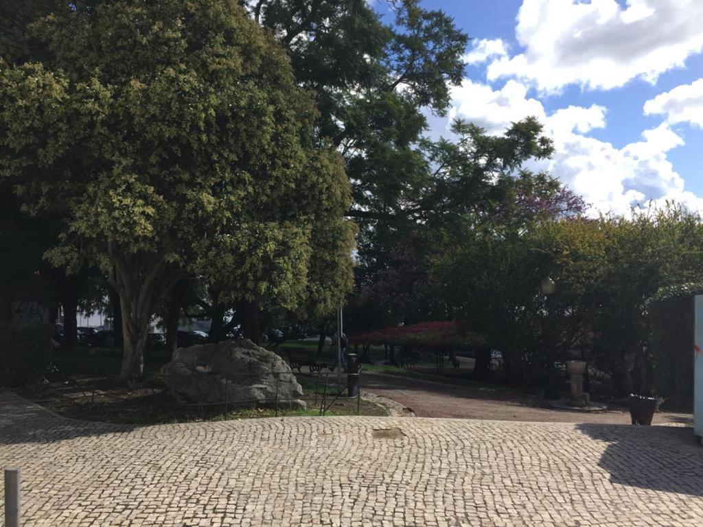 Cozy Estrela Apartment Lisboa المظهر الخارجي الصورة